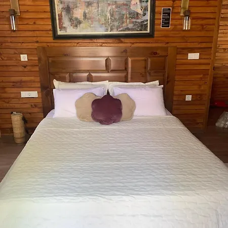 Panurla Ormanin Icinde, Yuezme Havuz&sauna * أورلا